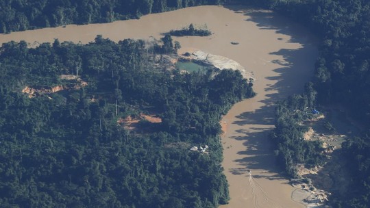 Cúpula da Amazônia: acordo deve evitar ponto de não retorno do bioma