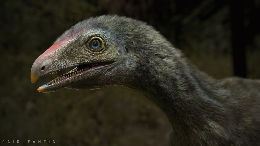 Fóssil do 'Venetoraptor gassenae' foi escavado na região central do Rio Grande do Sul