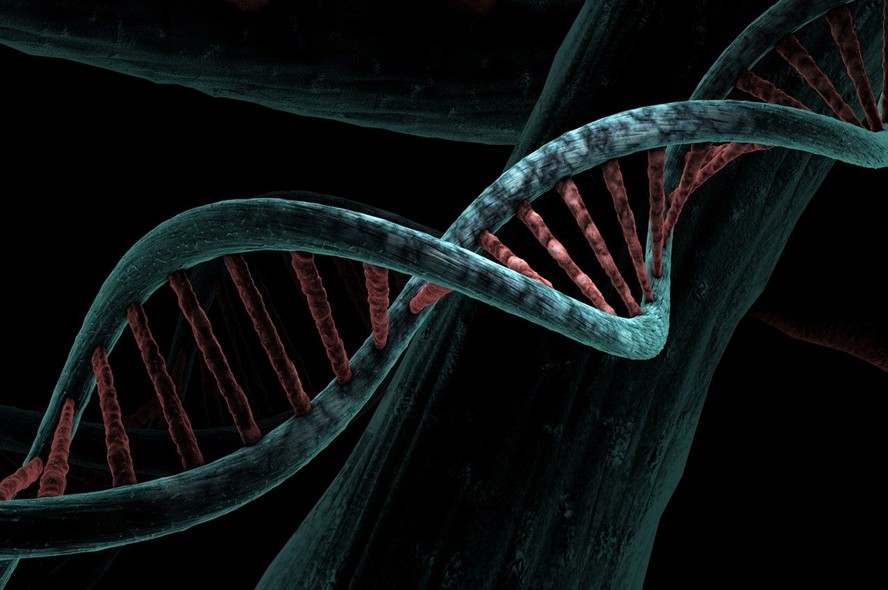 Descoberta pode ser usada na edição genética humana