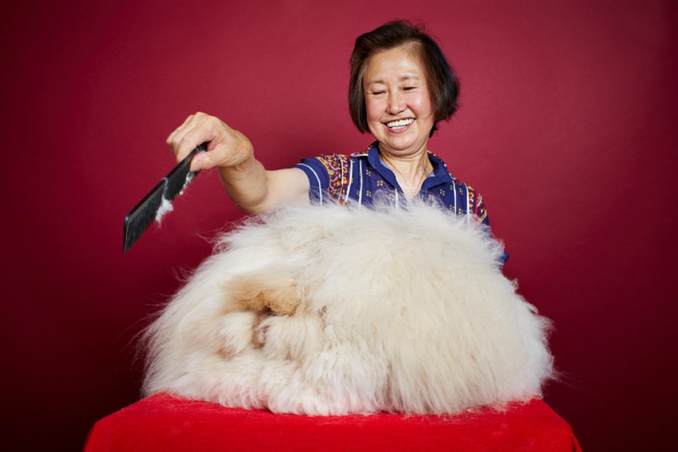 “Sua pelagem era fácil de cuidar; linda e suave”, conta Betty — Foto: Guinnes Book Records
