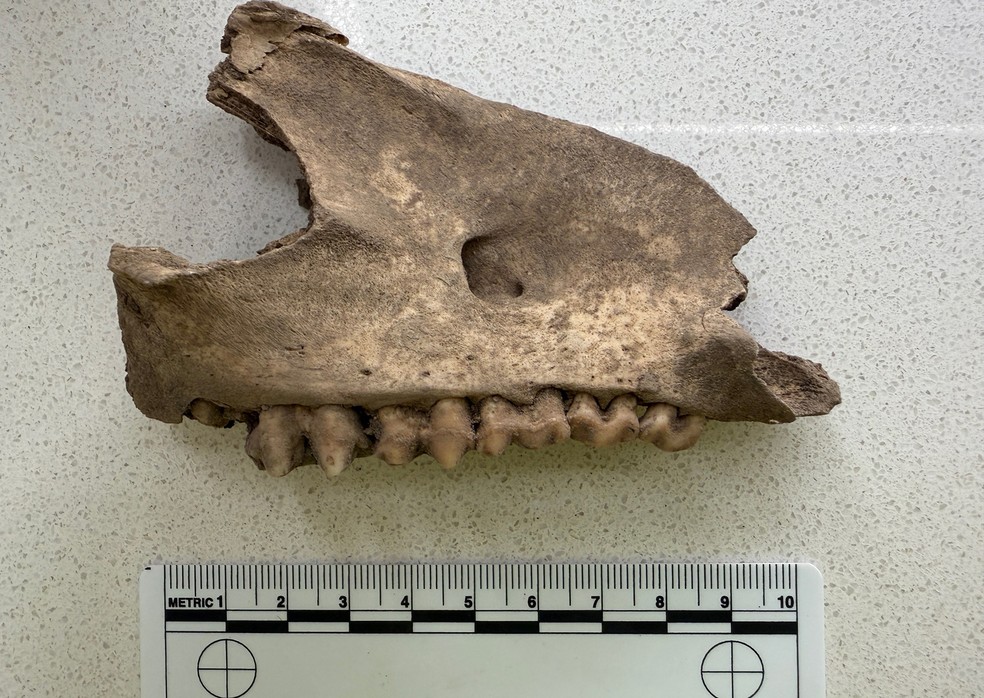  Museu da Taberna Overfield