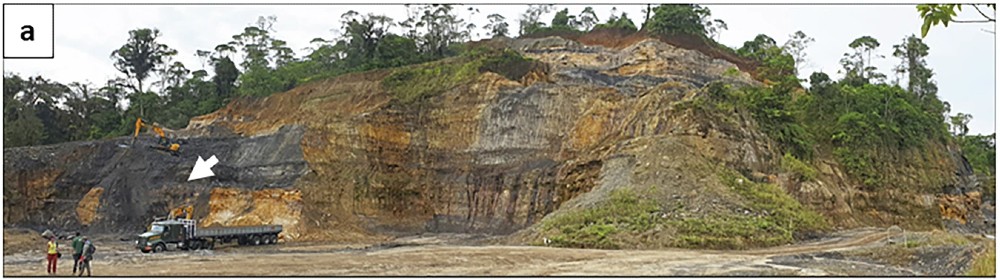  Delclòs, X., Peñalver, E., Jaramillo, C.