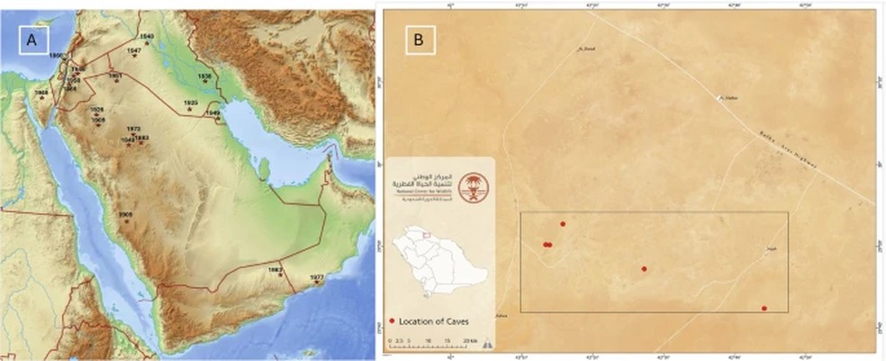Registro histórico de guepardos na Península Arábica (A) e localização das cinco cavernas onde as múmias foram encontradas (B) — Foto: Communications Earth & Environment
