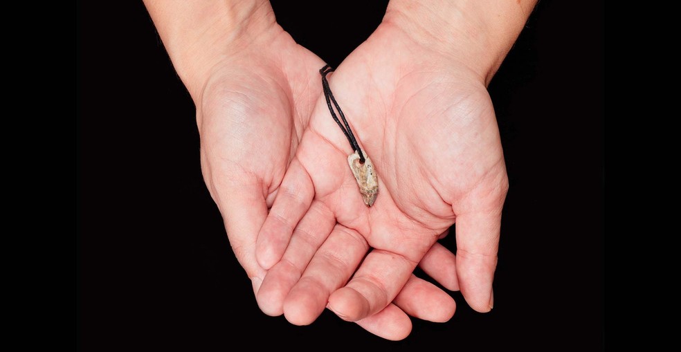 Mais de um século após sua descoberta, foi revelado que o pingente foi feito com um dente de foca — Foto: The Trustees of the Natural History Museum