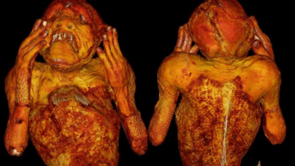 Cientistas usaram imagens 3D para reconstruir a aparência da 'múmia' — Foto: Kurashiki University of Science and the Arts