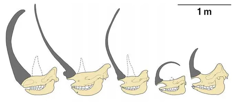  Journal of Zoology