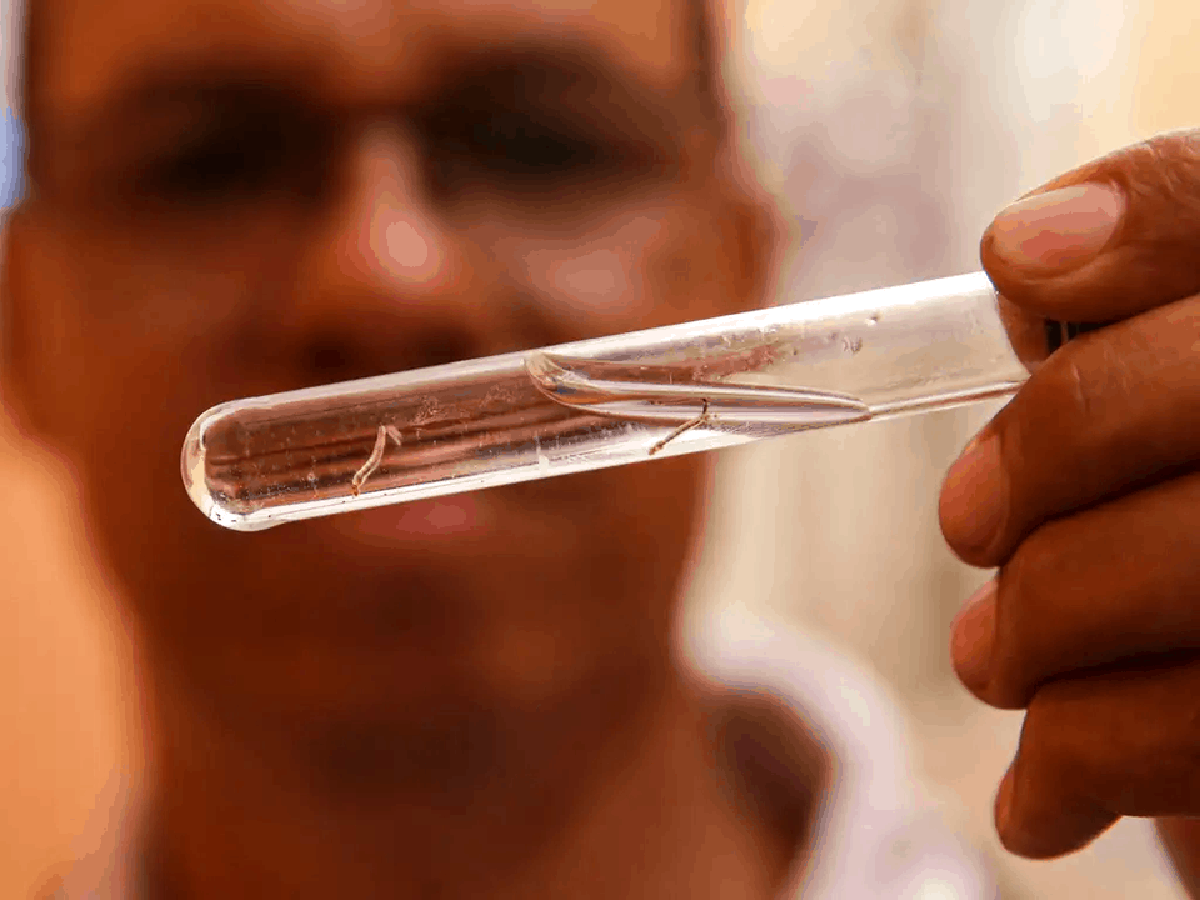 Nova Tecnologia da Fiocruz: Elimine Ovos de Mosquito com Eficiência