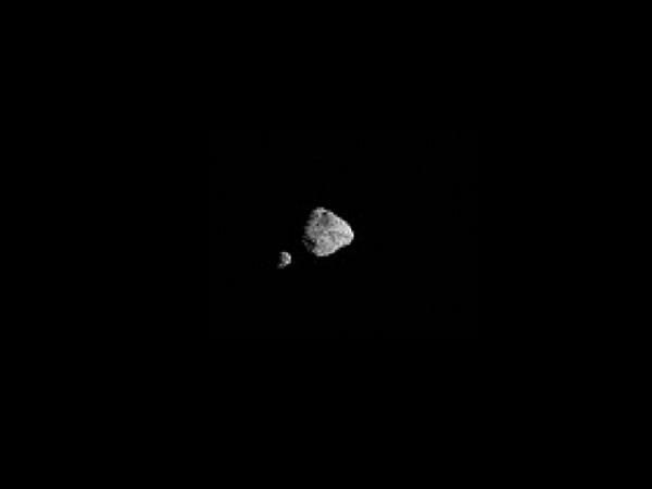 GIF mostra imagens do par de asteroides binários Dinkinesh, conforme visto pela câmera de rastreamento terminal (T2CAM) da sonda Lucy durante sua maior aproximação em 1 de novembro de 2023 — Foto: NASA/Goddard/SwRI/ASU