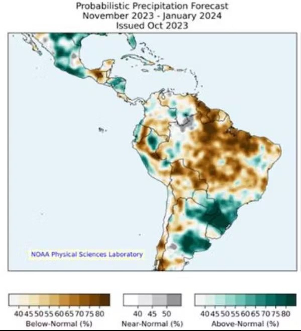 Para cientistas, seca indica futuro 'desastroso' da Amazônia e seu povo