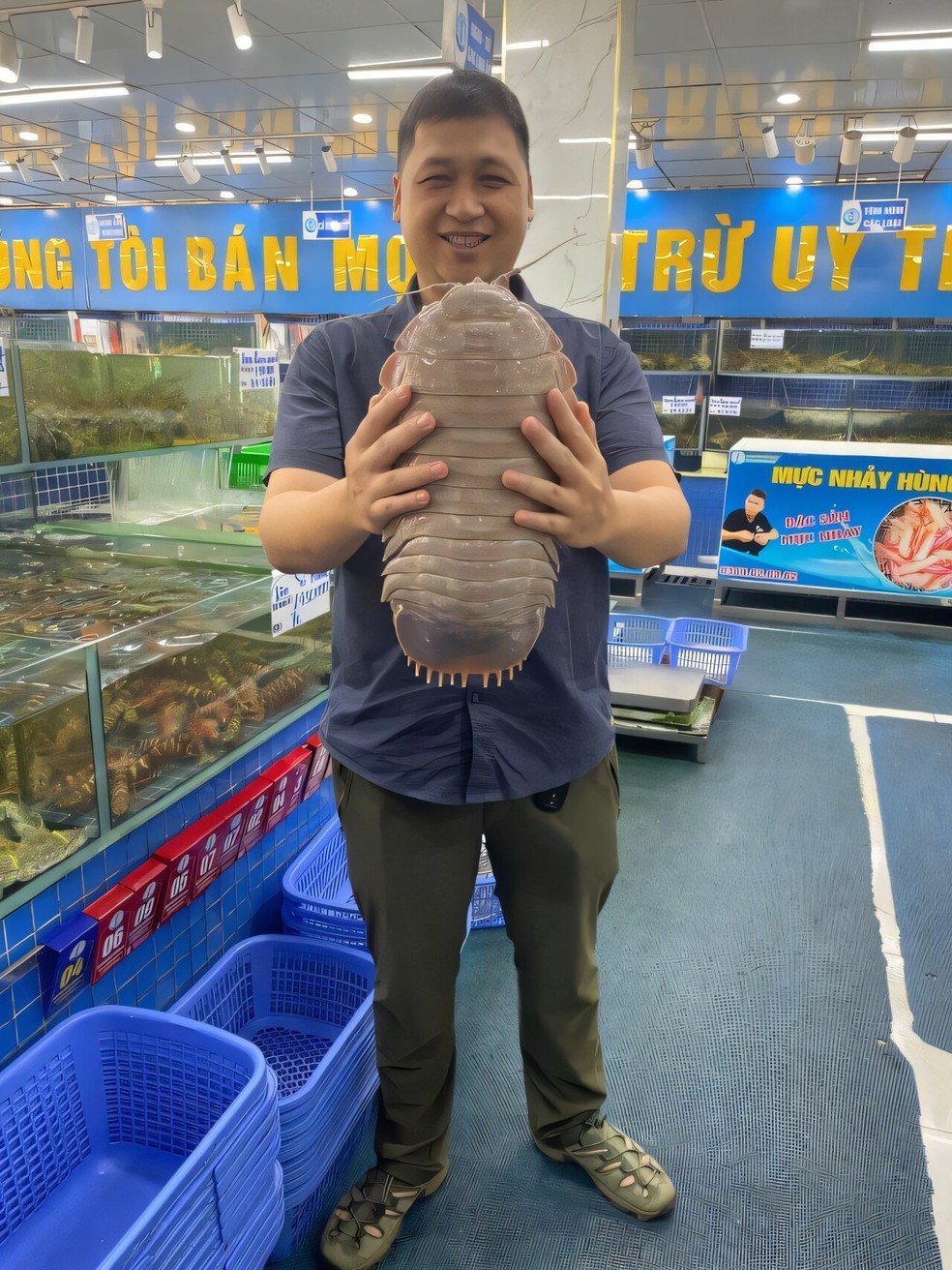 Outra espécie de isópode gigante encontrado no Vietnã (B. jamesi), com 2,62 kg, em um mercado de frutos-do-mar — Foto: Peter Ng
