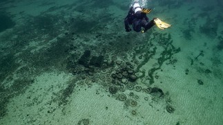 Desde 2018, a Fundação Octopus tem colaborado estreitamente com arqueólogos do cantão de Neuchâtel no âmbito do programa “Naufrágios Vulneráveis” — Foto: Octopus Foundation