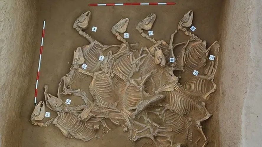 Um dos seis poços de sacrifício para cavalos descobertos em Yaoheyuan, no noroeste da China