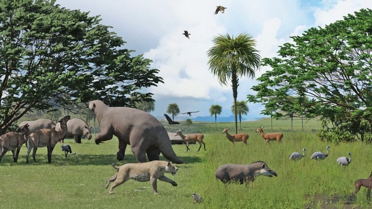 The extinction of megafauna 10,000 years ago led to a reorganization of ecosystems, study says  Sciences
