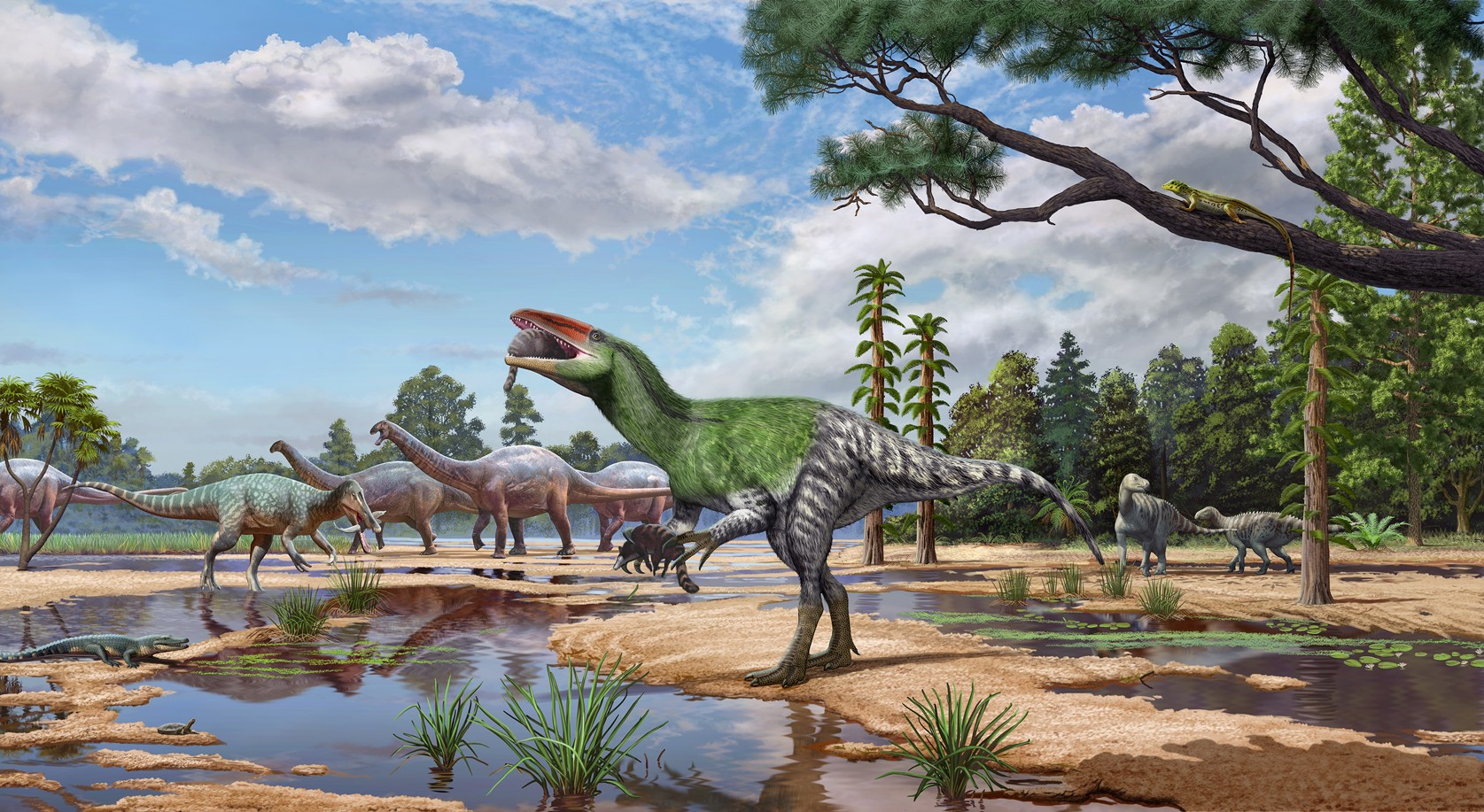 Fóssil de dinossauro que tinha altura de um humano é encontrado em gaveta de museu