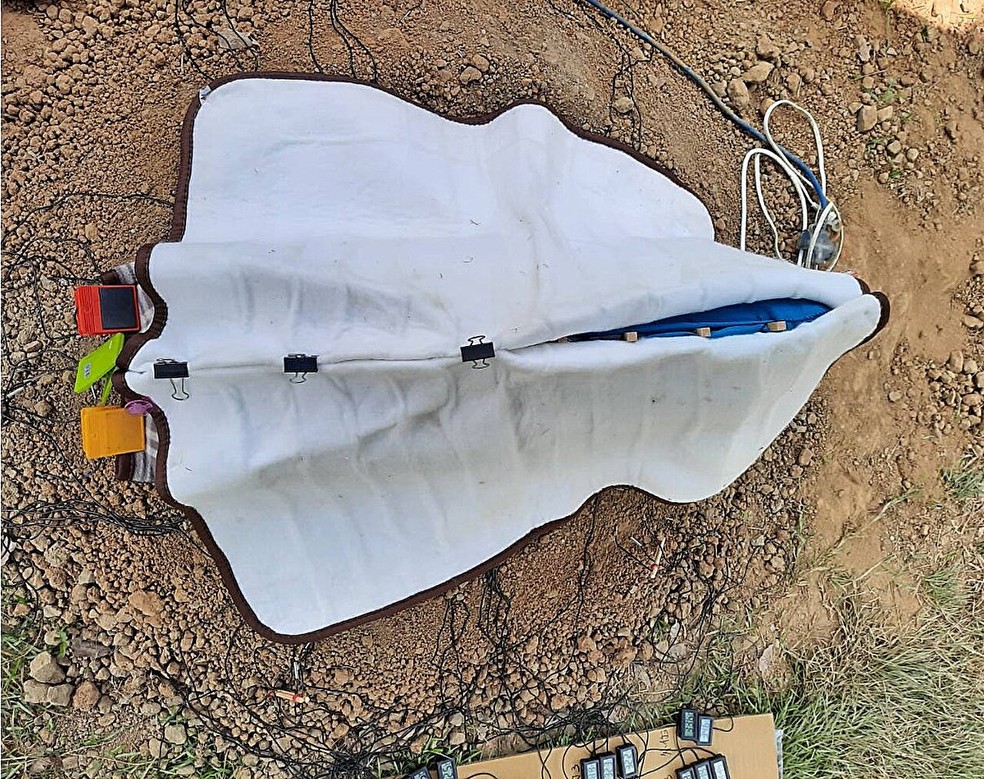 Vista dorsal da incubadora — Foto: Chun-Yu Su