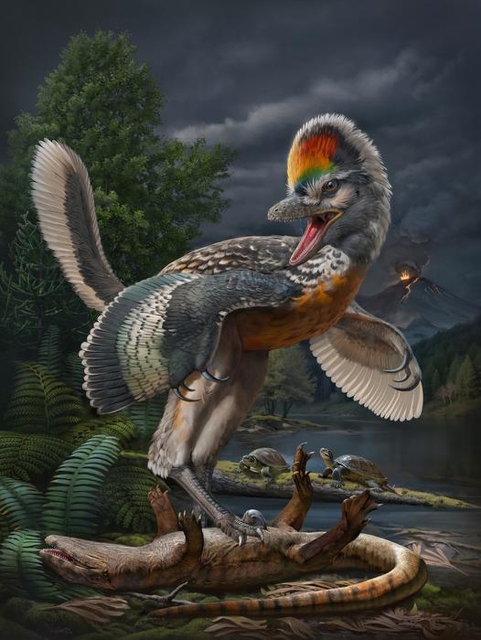 Reconstrução do terópode aviano "Fujianvenator prodigiosus", de 150 milhões de anos. — Foto: ZHAO Chuang