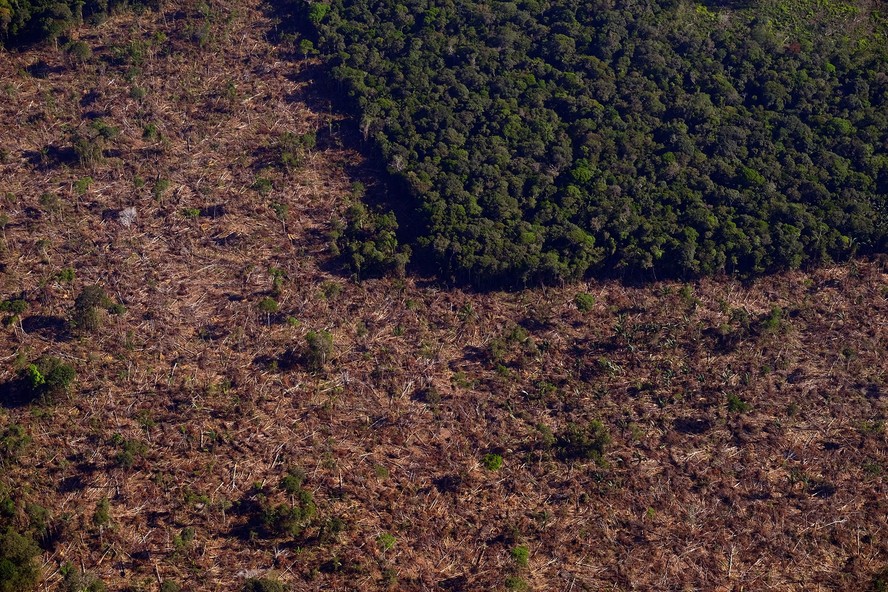 Áreas de desmatamento no município de Careiro da Várzea, no Amazonas próximo às Terras Indígenas do povo Mura