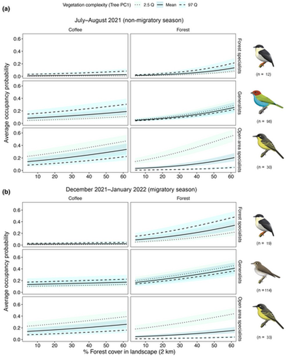 Respostas previstas de três grupos de aves em relação à porcentagem de cobertura florestal (raio de 2 km) e a interação com a complexidade da vegetação do habitat local em habitats florestais e de café — Foto: Journal of Applied Ecology