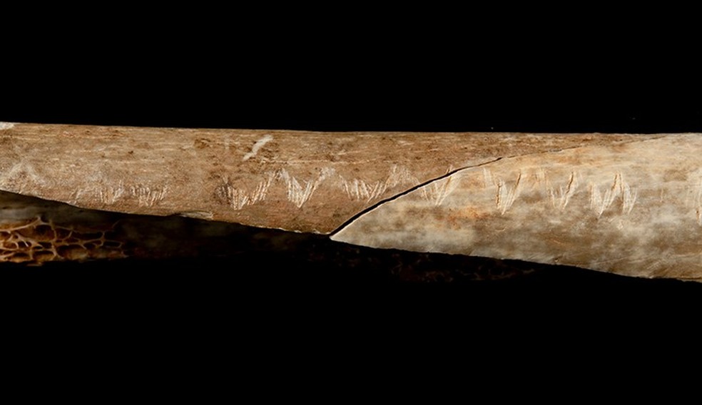 Alguns dos ossos humanos da Caverna de Gough mostram evidências de terem sido trabalhados, o que implica que o canibalismo tinha uma função ritualística — Foto: Curadores do Museu de História Natural, Londres