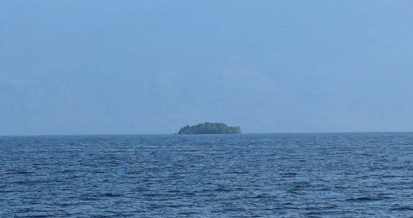 Ilha flutuante coberta de árvores no lago Williston, Canadá