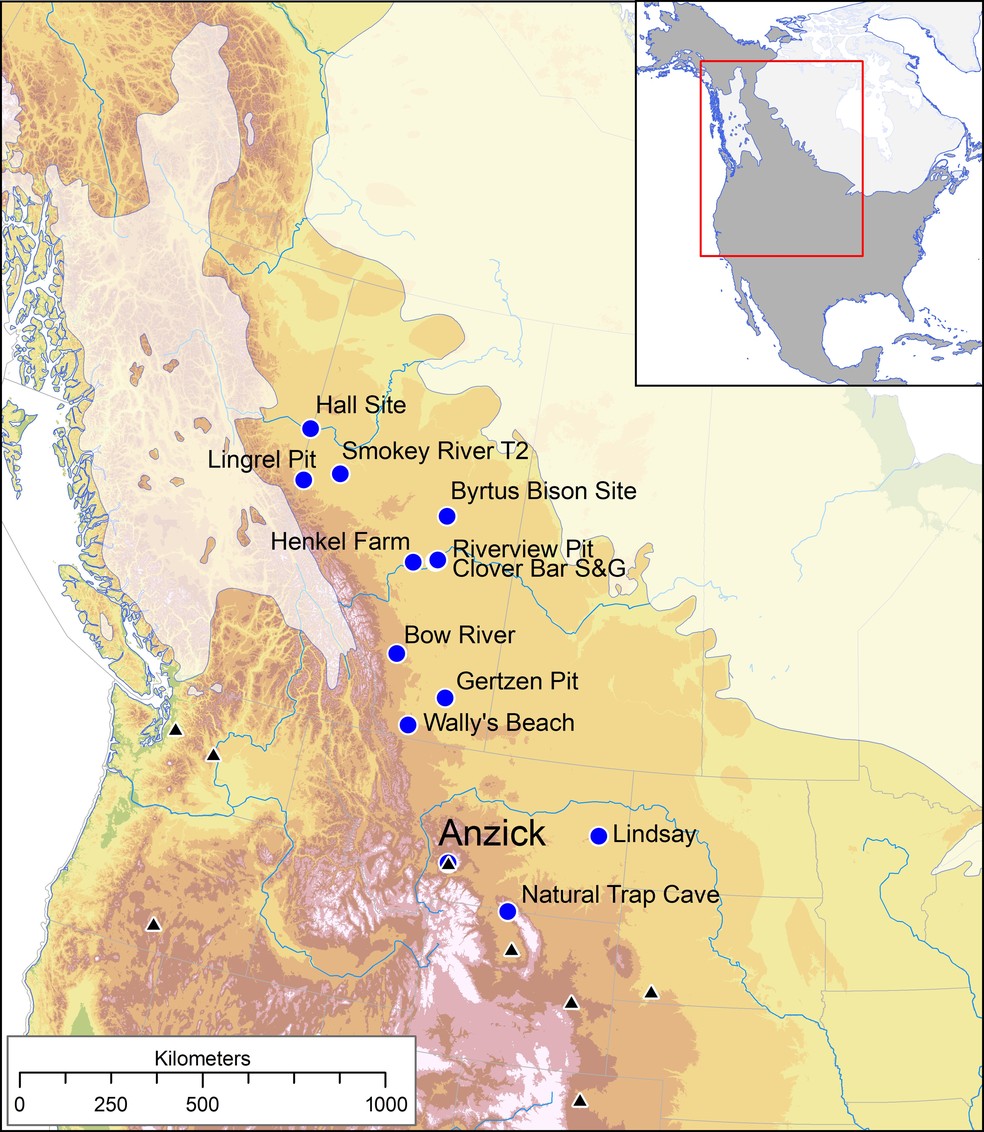 Mapa mostra o noroeste do que é hoje a América do Norte há cerca de 12.800 anos. Os triângulos indicam os principais sítios de Clovis e os círculos indicam os locais usados ​​para amostras de tecidos animais no novo estudo — Foto: Chatters et al.