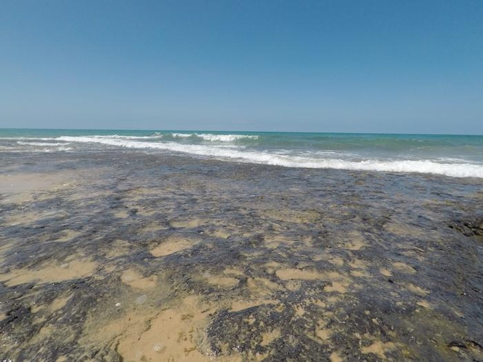 Recifes de turfa expostos pelas marés — Foto: Observatório Oceanográfico do Centro de Estudos Científicos de Bazaruto (BCSS)