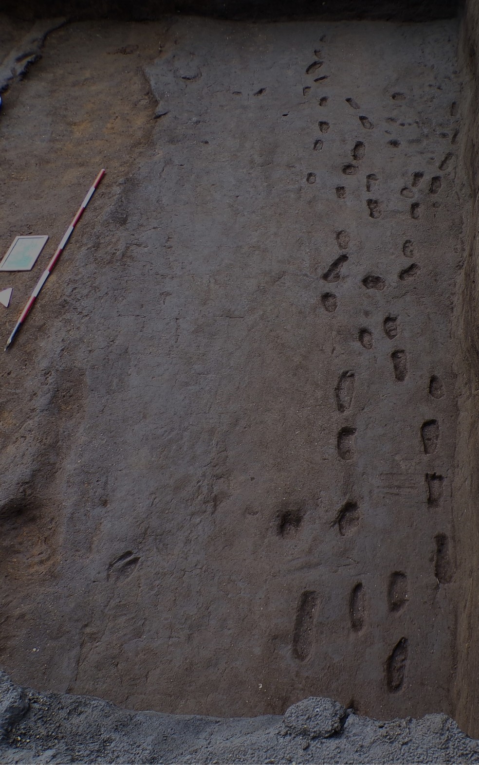 Pegadas de 4 mil anos descobertas pelos arqueólogos — Foto: Soprintendenza Archeologia Belle Arti e Paesaggio di Salerno e Avellino/Facebook