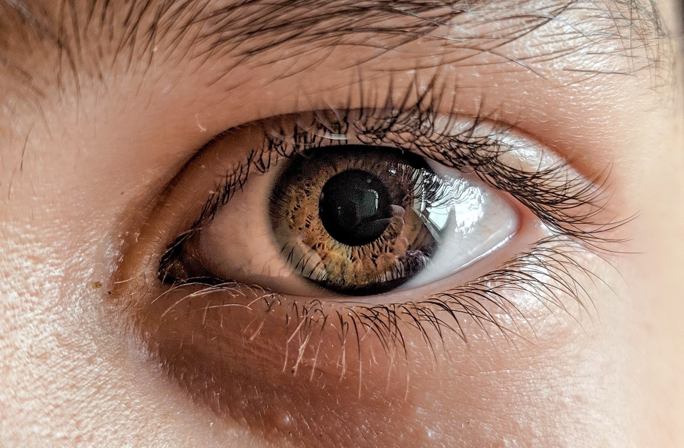 Retina pode indicar quão rápido você está envelhecendo? Estes estudos dizem que sim