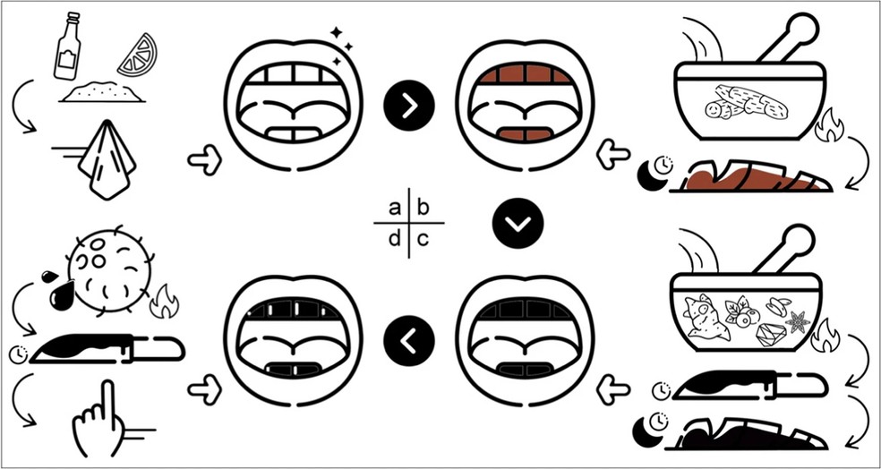 Ilustração do processo tradicional de escurecimento dos dentes entre o povo tonquinês: higienização abrasiva do esmalte, aplicação de compostos ricos em taninos para tingimento vermelho e depois preto com sais metálicos, seguida de polimento final para fixar e dar brilho à coloração. — Foto: 2026 Zhang et al., Ciências Arqueológicas e Antropológicas