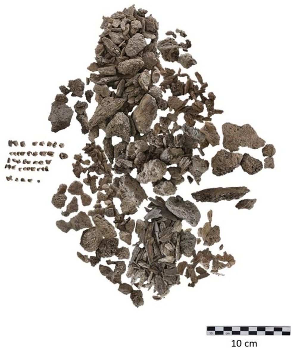 Restos do esqueleto que foram recuperados nas Ilhas Scilly. Durante a escavação, foram encontrados pequenos pedaços de ossos e dentes no valor de cerca de 150 gramas recuperados pelos arqueólogos — Foto: Historic England Archive