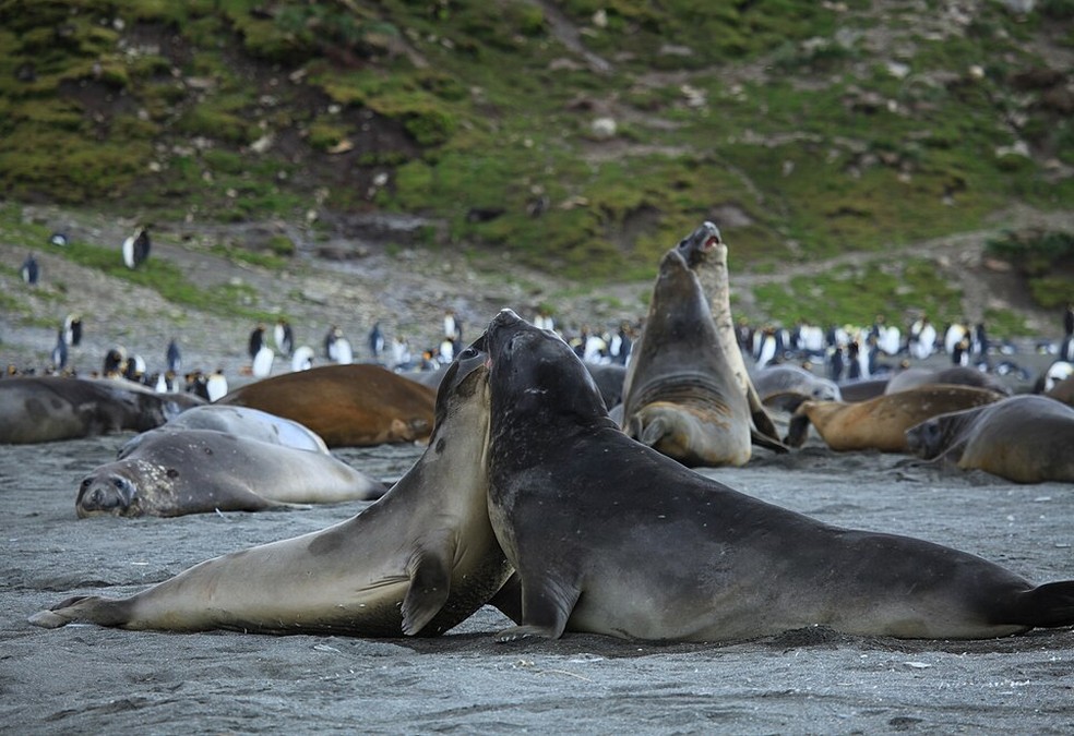  Liam Quinn/Wikimedia Commons