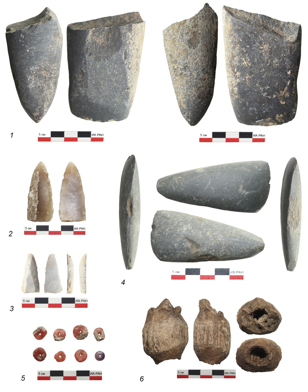 Objetos encontrados no sítio arqueológico de Tyalling-2 na Chechênia — Foto: RAS