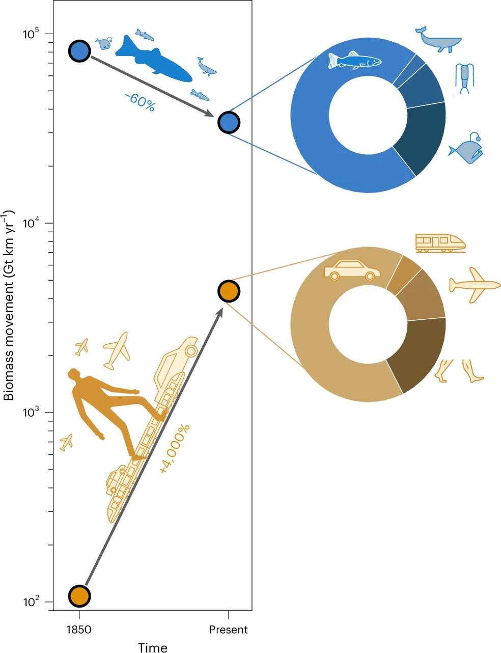  Lior Greenspoon, Ron Milo/Nature Communications
