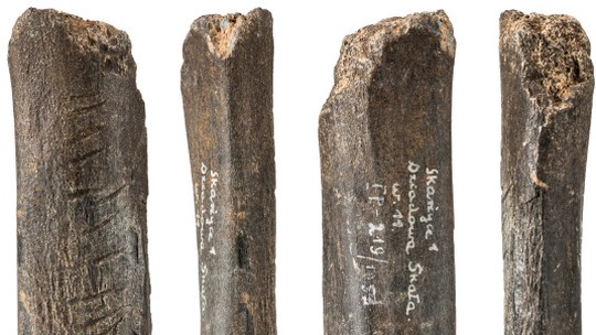 Marcas em osso de 130 mil anos são as primeiras expressões artísticas dos neandertais
