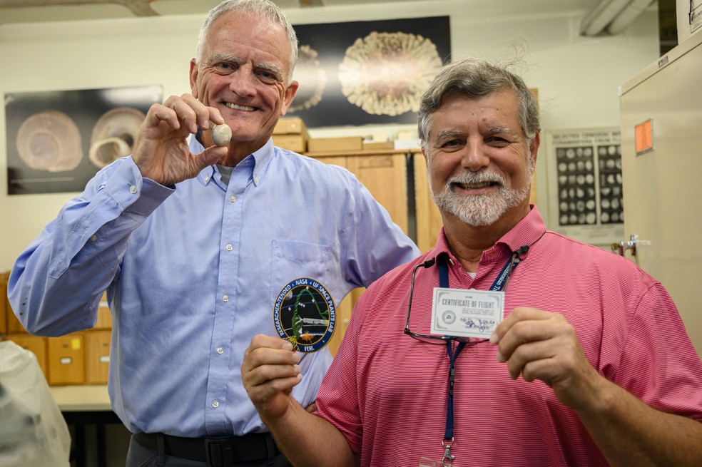 Funcionários do Museu com o caracol "viajante" — Foto: Museu da Flórida