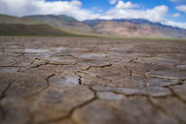 Aumento alarmante da seca do solo afeta um terço do mundo, revela estudo