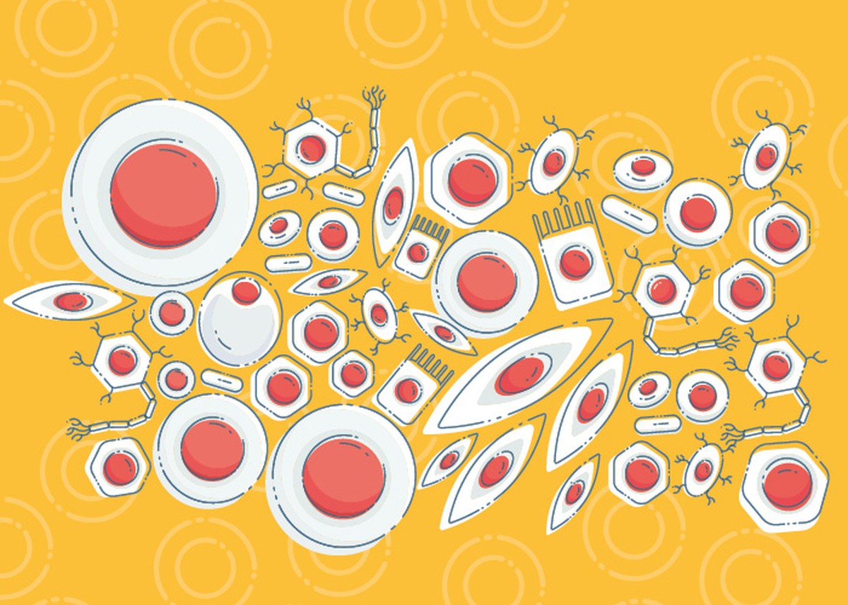 Homem é curado do HIV de forma inesperada após passar por terapia com células-tronco