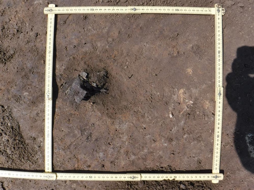 Fragmento de têxteis no enterro do período mongol — Foto:  Instituto de Arqueologia da Academia Russa de Ciências 