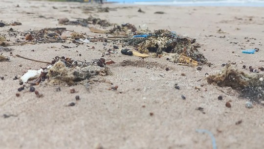 Estudo avalia índices de microplástico em mais de mil praias brasileiras