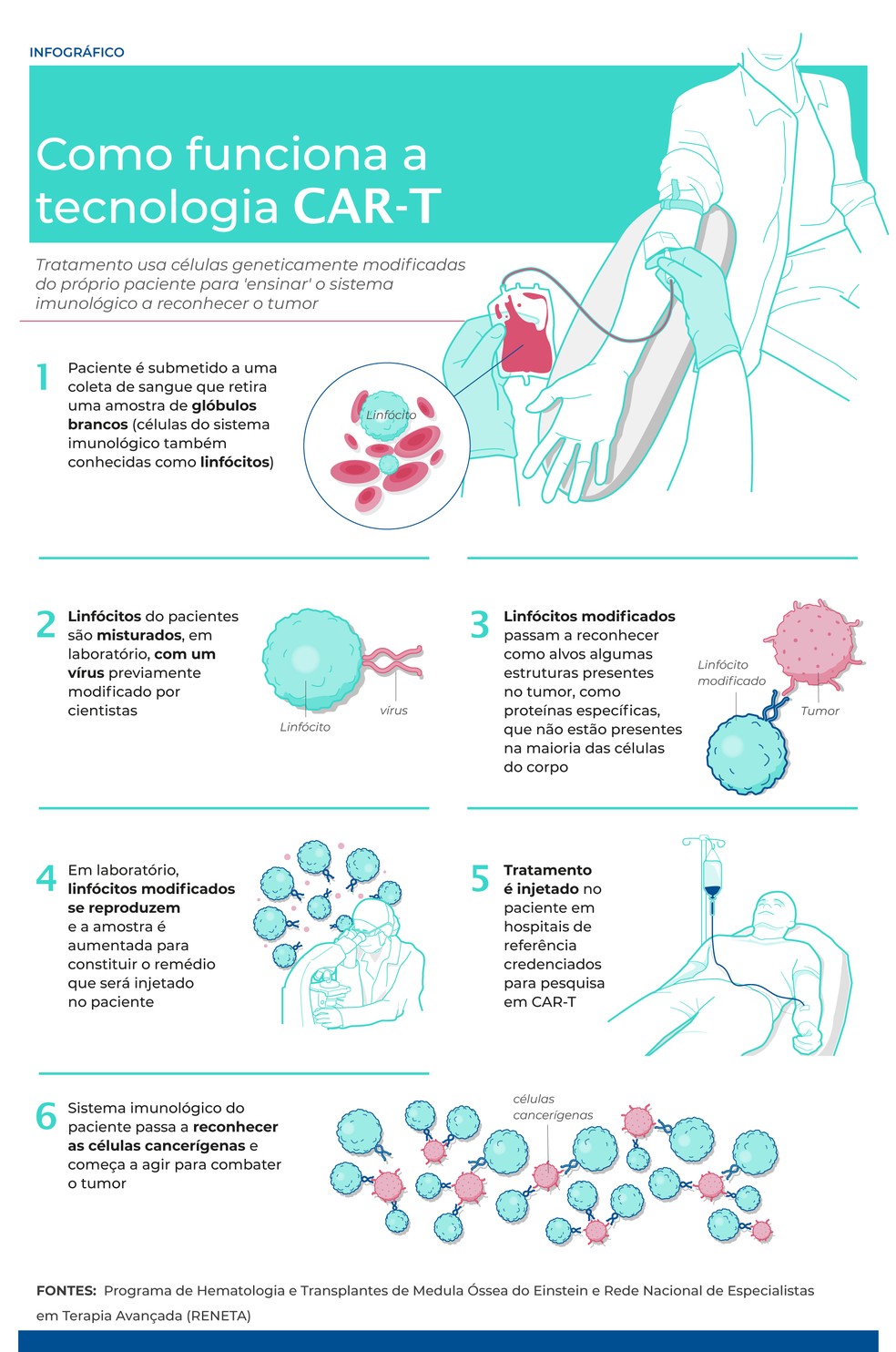 Como funciona a tecnologia CAR-T — Foto: Agência Einstein