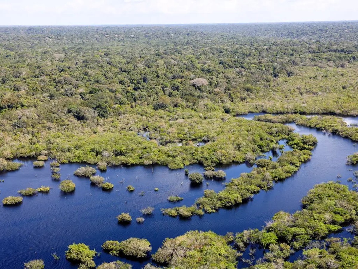 Desmatamento em unidades de conservação da Amazônia é o menor em 17 anos, diz ICMBio