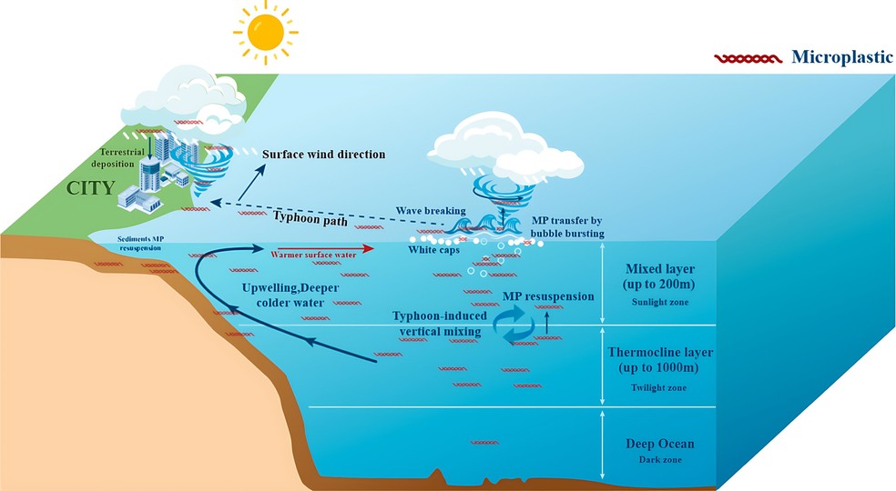 Diagrama conceitual mostrando o mecanismo potencial de transferência de microplásticos (MPs) induzida por tufões, das profundezas oceânicas para a atmosfera e, posteriormente, para a superfície terrestre — Foto: Taiseer Hussain Nafea et al.