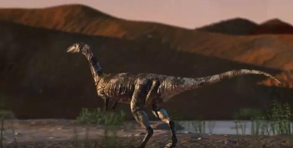 Vespersaurus paranaensis foi descoberto no Paraná (Foto: Reprodução/ Youtube) — Foto: Galileu