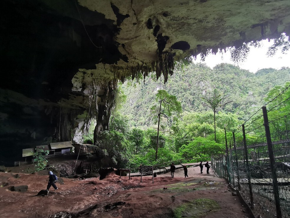 A boca oeste da Grande Caverna de Niah — Foto: Unesco/Uni- Technologies Sdn. Bhd (UTSB)