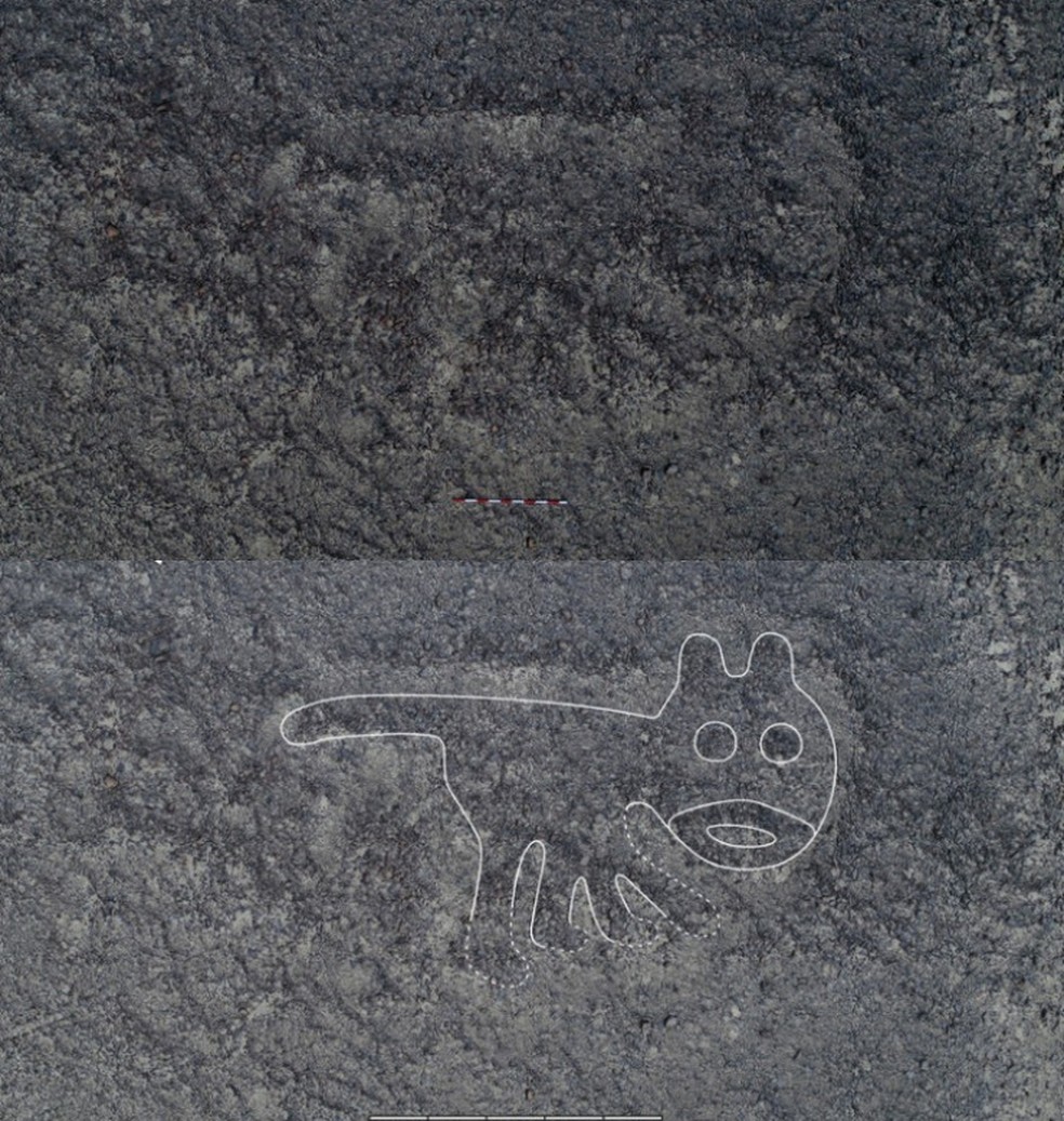 Uma figura de um animal parecida com um gato é vista de cima, entre as Linhas de Nazca. — Foto: Reprodução/ Universidade de Yamagata