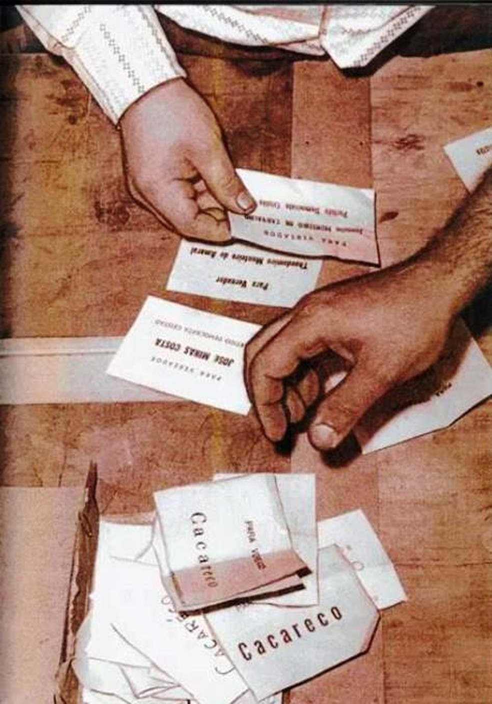 Em 1959, Cacareco foi precursora do voto de protesto do Macaco Tião no Rio em 1988 — Foto: Wikimedia Commons
