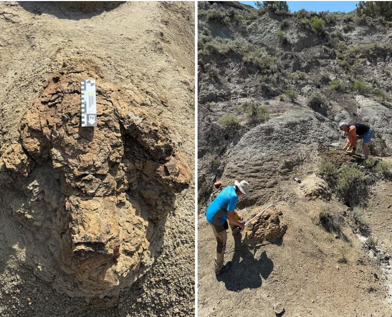 Pegadas de um T. rex em formação geológica na Dakota do Norte