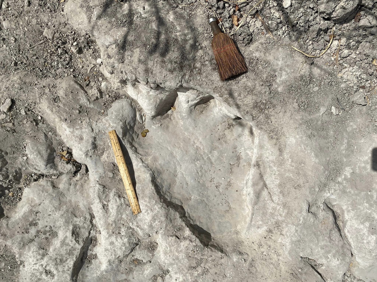 Provavelmente dois tipos diferentes de dinossauros deixaram as pegadas, de acordo com funcionários do parque — Foto: Dinosaur Valley State Park - Friends/Facebook/Reprodução