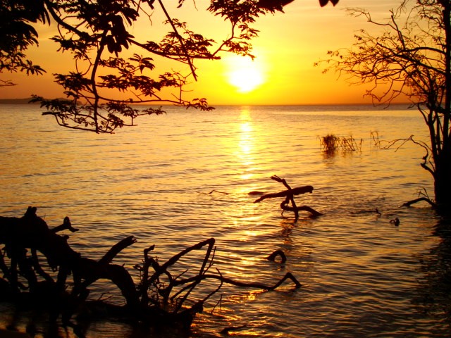O que é o Afélio, que fez a Terra ficar mais distante do Sol no início ...