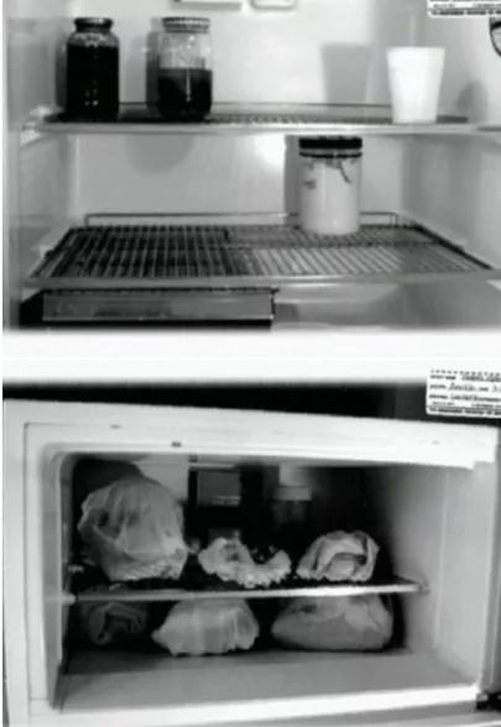 Restos mortais encontrados na geladeira de Dahmer, em 1991 (Foto: Departamento de Polícia de Milwaukee/FBI) — Foto: Galileu